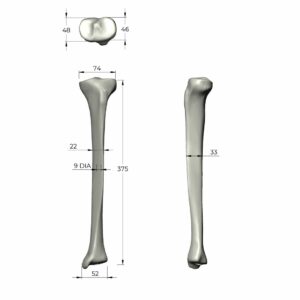 人工骨模型 3401