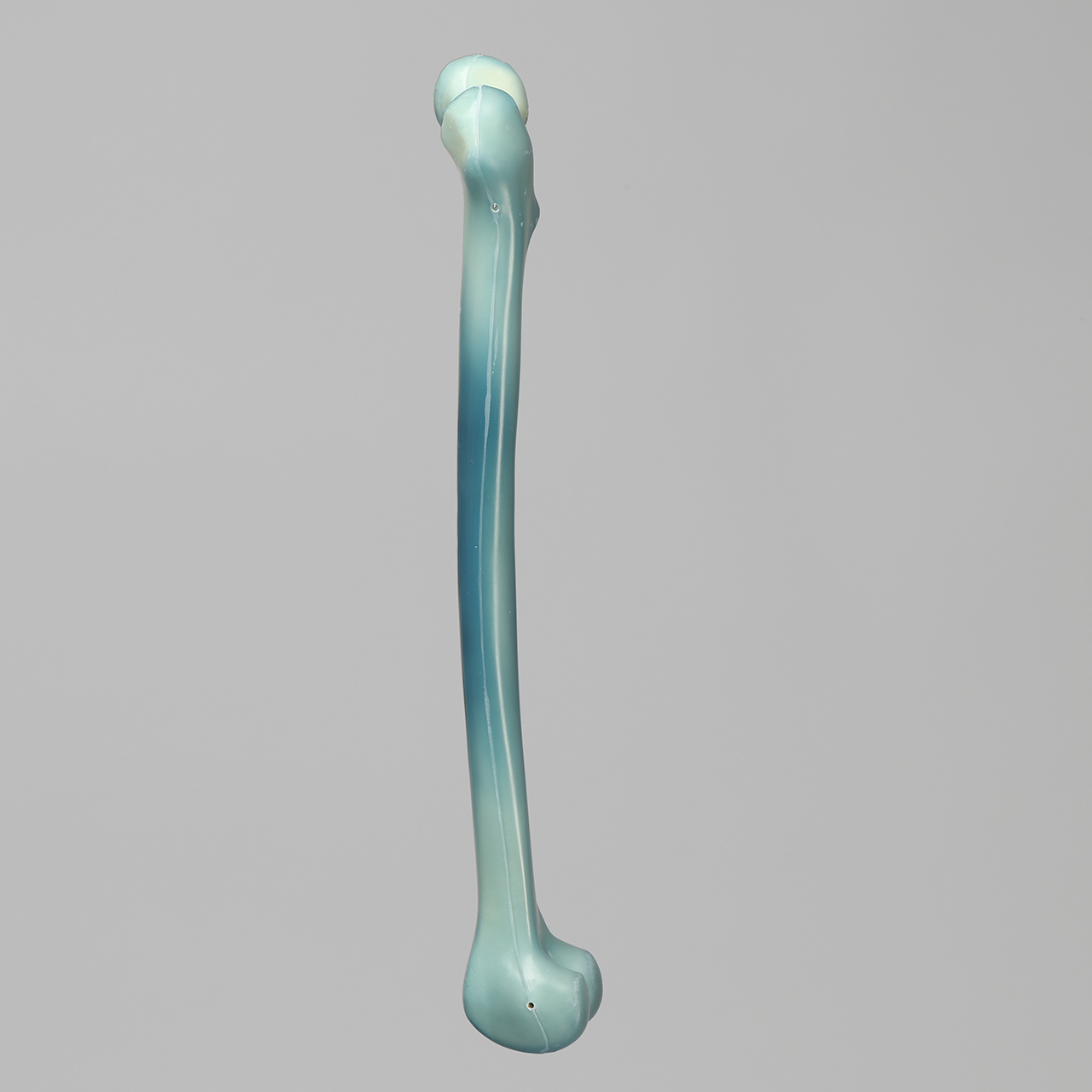 人工骨模型 3506 - 图片 3