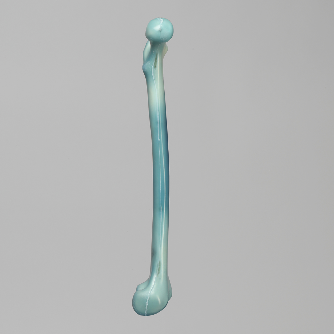 人工骨模型 3506 - 图片 2